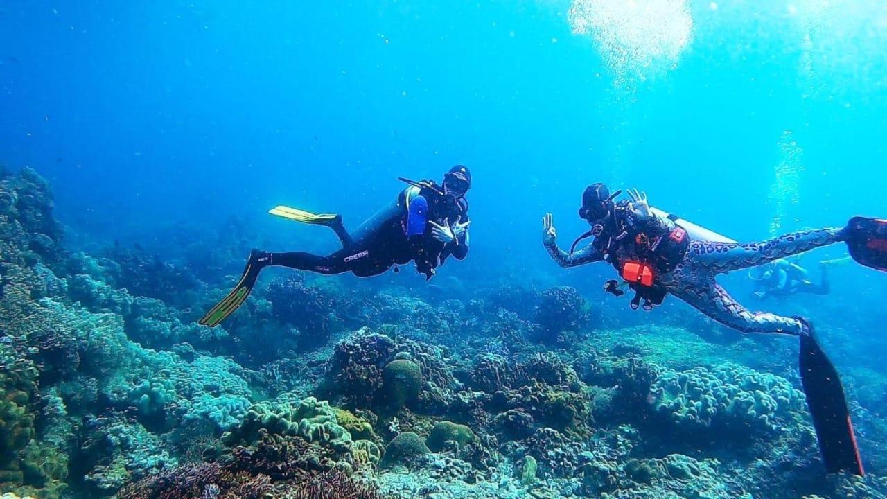 La Tortue Diving Resort Dauin Eksteriør billede