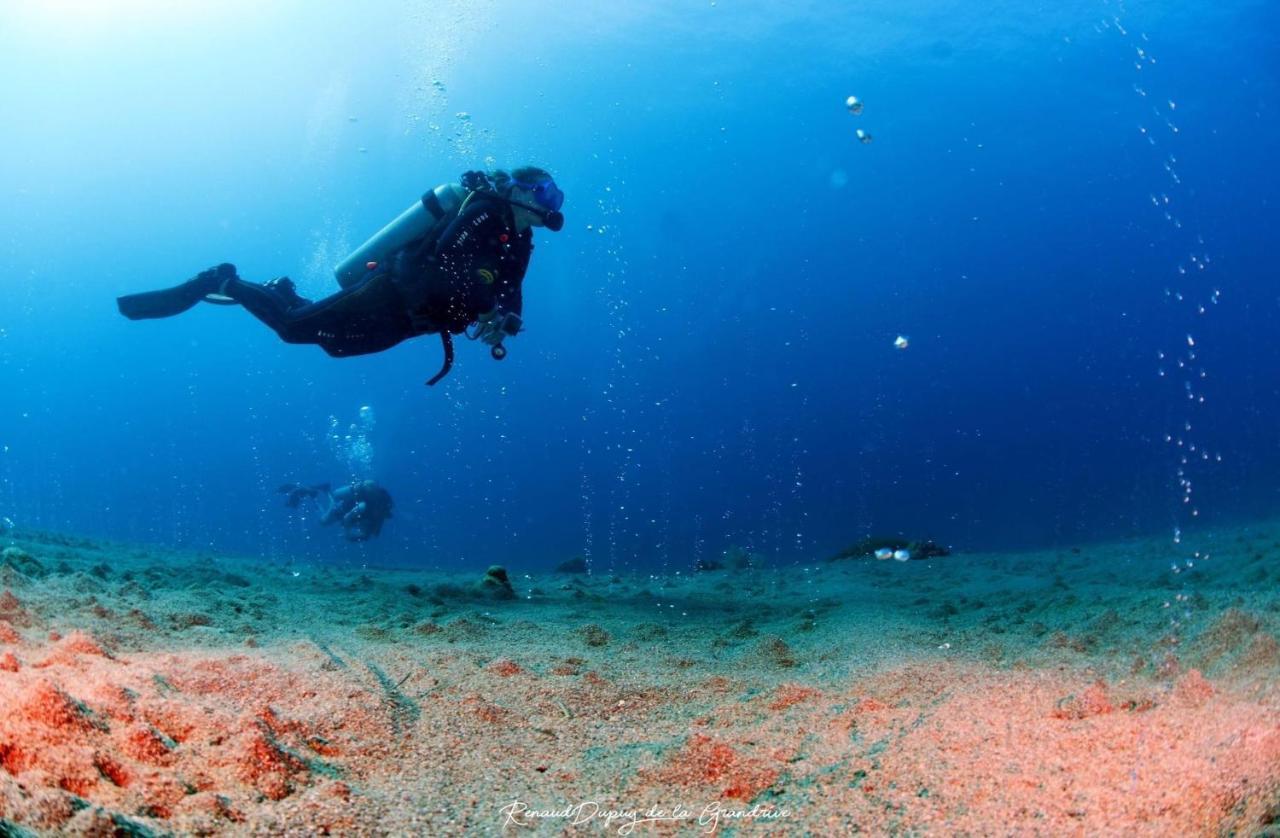 La Tortue Diving Resort Dauin Eksteriør billede