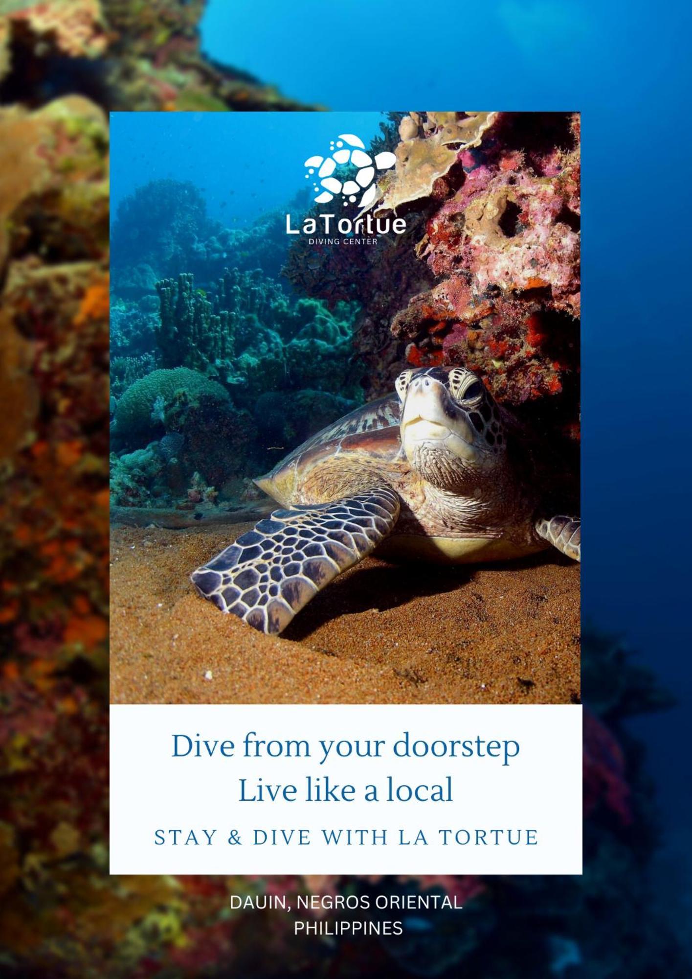 La Tortue Diving Resort Dauin Eksteriør billede